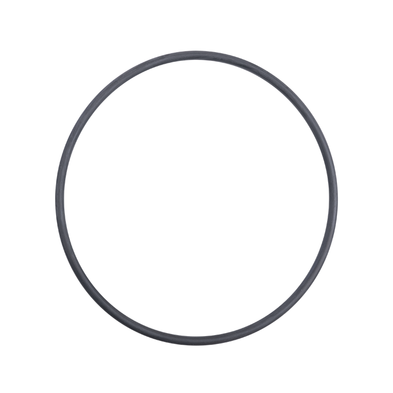 O-Ring für Prüfkammer ProofMaster / PRO / CP